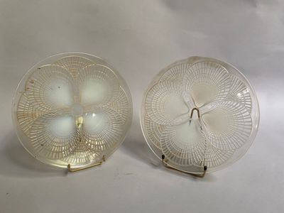 deux assiettes en verre posées sur une surface blanche