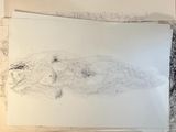 a drawing of a woman laying down on a sheet of paper
