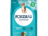 Aliment complet pour chiens adultes « forzap maintenance »