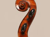 a close up of the back of a violin with a bow on it
