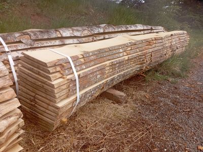 un tas de bûches posé par terre dans les bois