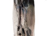 a close up of a vase with a black and white design