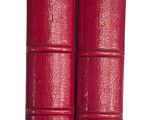 deux livres rouges ornés de lettres dorées, posés l'un à côté de l'autre