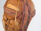 une image représentant une tête en bois coiffée d'un foulard