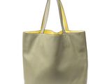 an image of a woman ' s handbag on a white background