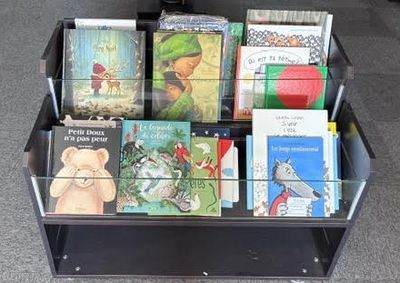 une sélection de livres pour enfants dans une bibliothèque