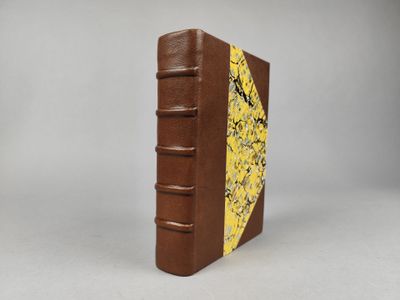 livre en cuir marron avec une couverture en peau de serpent jaune sur fond blanc