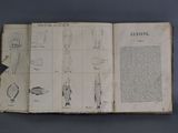 an open book with drawings of different types of human hands