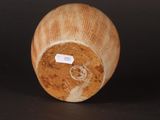 a small vase with a label on it on a table
