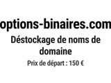 Photo 1/1 du lot