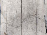 a cat that is sitting on a wooden bench