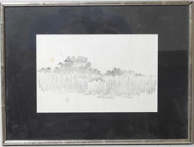 un dessin en noir et blanc représentant des arbres dans un champ