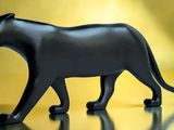 Photo 2/3 du lot