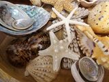 a bowl filled with shells and seashells on a table