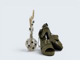 une paire de chaussures à côté d'un vase contenant une plante