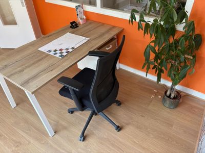 un bureau avec une chaise et une plante en pot devant une fenêtre