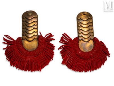 pair of red fringe earrings with gold accents on a white background