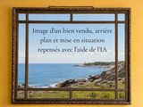 Photo 2/2 du lot