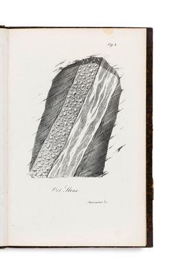 un vieux livre sur lequel est dessiné un morceau de pain