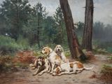 three dogs that are laying down in the dirt