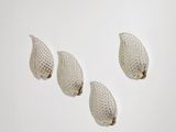 quatre coquilles en verre sont disposées en rangée sur une surface blanche