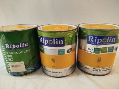 Lot de 3 - RIPOLIN - Ces pots de peinture acrylique monocouc…