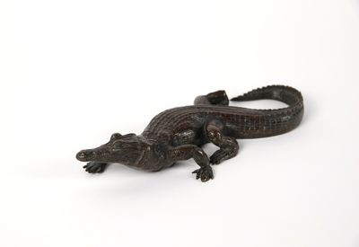 un petit alligator allongé sur une surface blanche