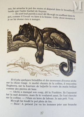 a picture of a book with a picture of a cat laying on a tree branch