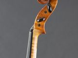 a close up of the back of a violin
