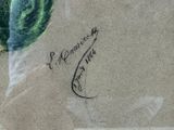 a painting of a watermelon on a piece of paper with writing on it