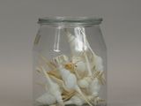 a glass jar with some white flowers inside of it