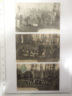 trois photos représentant des personnes et des animaux dans les bois