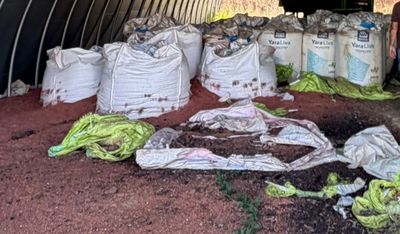 many bags of dirt and bags of vegetables inside of a building
