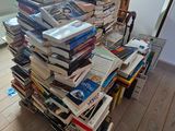 un chat allongé par terre à côté d'une pile de livres