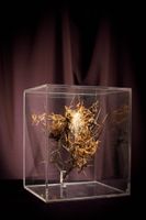[ARTIFICIALIA] (photo 5)