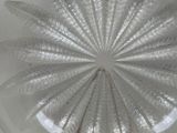 a close up of a glass plate with a circular design