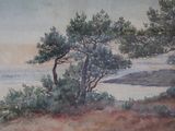 a painting of some trees on a hill by the water