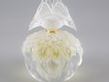 flacon de parfum en verre translucide contenant des fleurs blanches, sur fond blanc