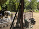 une cage dans laquelle se trouvent plusieurs animaux