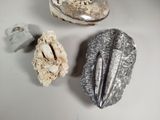 three different types of rocks on a white surface