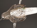 a glass bird that is sitting on a branch