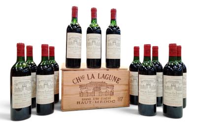 six bouteilles de vin rouge dans une caisse en bois sur fond blanc