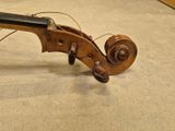 a violin that is laying on the floor
