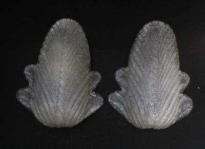 VENISE MURANO MURANO, dans le goût de BAROVIER et TOSO Paire…