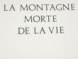 Photo 5/10 du lot