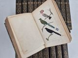 a book with a bird on it sitting on a stack of books