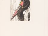 a picture of a bird with a long beak