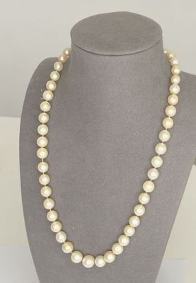 a white pearl necklace on a mannequin with a gold clasp