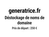 Photo 1/1 du lot