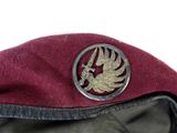 a red hat with a bird on it on a white surface
